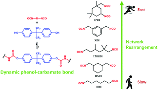 Graphical abstract: Cross-linked polyurethane with dynamic phenol-carbamate bonds: properties affected by the chemical structure of isocyanate