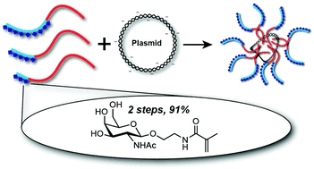 Graphical abstract: Facile synthesis of GalNAc monomers and block polycations for hepatocyte gene delivery