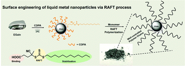 Graphical abstract: Functionalization of liquid metal nanoparticles via the RAFT process