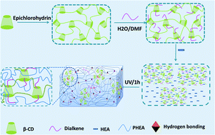 Graphical abstract: Tough double-network elastomers with slip-rings