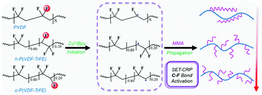 Graphical abstract: Activation of different C–F bonds in fluoropolymers for Cu(0)-mediated single electron transfer radical polymerization