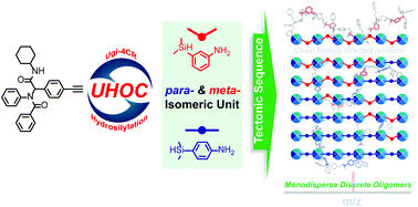 Graphical abstract: Regulation of tectonic sequences in chain-folding-directed monodisperse isomeric oligomers precisely tailored by Ugi-hydrosilylation orthogonal cycles