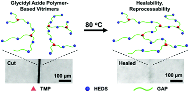 Graphical abstract: Glycidyl azide polymer-based polyurethane vitrimers with disulfide chain extenders