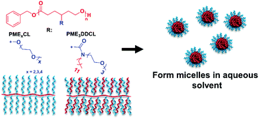 Graphical abstract: Self-assembly behavior of oligo(ethylene glycol) substituted polycaprolactone homopolymers