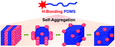 Graphical abstract: Synthesis and self-aggregated nanostructures of hydrogen-bonding polydimethylsiloxane