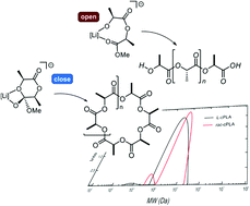 Graphical abstract: Cyclic polylactide synthesis initiated by a lithium anthraquinoid: understanding the selectivity through DFT and diffusion NMR