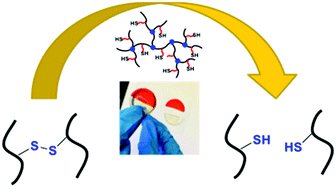 Graphical abstract: Hyperbranched polymer hydrogels with large stimuli-responsive changes in storage moduli and peroxide-induced healing