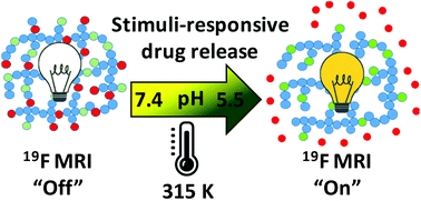 Graphical abstract: Tuning the thermoresponsive properties of PEG-based fluorinated polymers and stimuli responsive drug release for switchable 19F magnetic resonance imaging