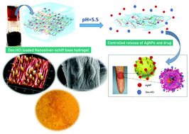 Graphical abstract: Development of macroscopically ordered liquid crystalline hydrogels from biopolymers with robust antibacterial activity for controlled drug delivery applications