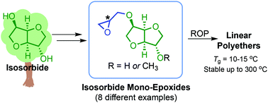 Graphical abstract: Synthesis and anionic polymerization of isosorbide mono-epoxides for linear biobased polyethers
