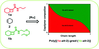 Graphical abstract: Gradient copolymer prepared from alternating ring-opening metathesis of three monomers