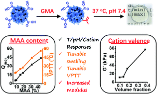 Graphical abstract: Triply-responsive OEG-based microgels and hydrogels: regulation of swelling ratio, volume phase transition temperatures and mechanical properties