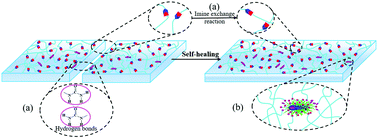 Graphical abstract: Surface modified halloysite nanotube enhanced imine-based epoxy composites with high self-healing efficiency and excellent mechanical properties
