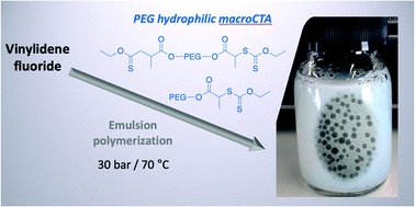 Graphical abstract: Surfactant-free emulsion polymerization of vinylidene fluoride mediated by RAFT/MADIX reactive poly(ethylene glycol) polymer chains