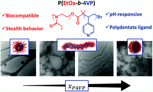 Graphical abstract: Combining CROP and ATRP to synthesize pH-responsive poly(2-ethyl-2-oxazoline-b-4-vinylpyridine) block copolymers