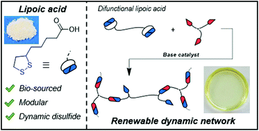 Graphical abstract: Renewable and recyclable covalent adaptable networks based on bio-derived lipoic acid