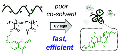 Graphical abstract: Mediating covalent crosslinking of single-chain nanoparticles through solvophobicity in organic solvents