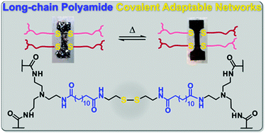 Graphical abstract: Long-chain polyamide covalent adaptable networks based on renewable ethylene brassylate and disulfide exchange