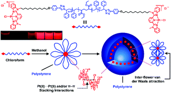 Graphical abstract: Synthesis and hierarchical self-assembly of luminescent platinum(ii)-containing telechelic metallopolymers