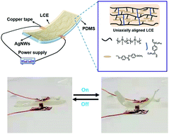 Graphical abstract: Transparent low-voltage-driven soft actuators with silver nanowires Joule heaters