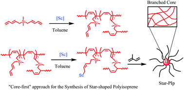 Graphical abstract: “Core-first” approach for the synthesis of star-shaped polyisoprenes with a branched core and isoprene catalyzed by half-sandwich scandium complexes