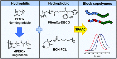 Graphical abstract: Block copolymers comprising degradable poly(2-ethyl-2-oxazoline) analogues via copper-free click chemistry