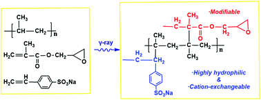 Graphical abstract: A highly hydrophilic cation exchange nonwoven with a further modifiable epoxy group prepared by radiation-induced graft polymerization