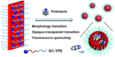 Graphical abstract: Transformable fluorescent nanoparticles (TFNs) of amphiphilic block copolymers for visual detection of aromatic amines in water