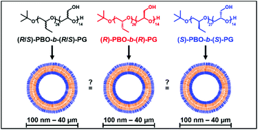 Graphical abstract: Fully amorphous atactic and isotactic block copolymers and their self-assembly into nano- and microscopic vesicles