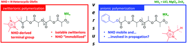 Graphical abstract: A comparison of zwitterionic and anionic mechanisms in the dual-catalytic polymerization of lactide