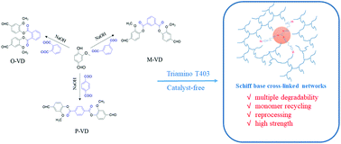 Graphical abstract: A biomass-based Schiff base vitrimer with both excellent performance and multiple degradability