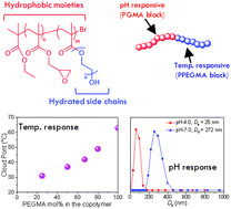 Graphical abstract: Ultrafast, green and recyclable photoRDRP in an ionic liquid towards multi-stimuli responsive amphiphilic copolymers