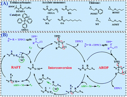 Graphical abstract: Hybrid copolymerization of acrylate and thiirane monomers mediated by trithiocarbonate