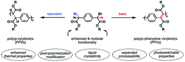 Graphical abstract: New classes of functionalized parylenes and poly(phenylene vinylene)s via coupling of dihaloxylyl diesters