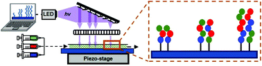 Graphical abstract: Evolution and applications of polymer brush hypersurface photolithography