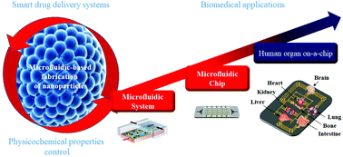 Graphical abstract: Polymer based nanoparticles for biomedical applications by microfluidic techniques: from design to biological evaluation