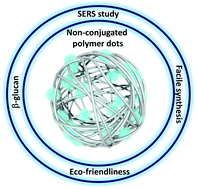 Graphical abstract: Non-traditional intrinsic luminescence from non-conjugated polymer dots: designing a hybrid biomaterial