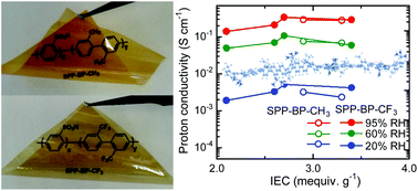 Graphical abstract: Poly(para-phenylene) ionomer membranes: effect of methyl and trifluoromethyl substituents