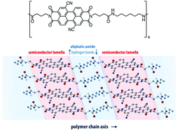 Graphical abstract: Semiaromatic polyamides with enhanced charge carrier mobility