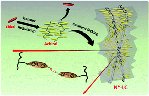 Graphical abstract: Induction, fixation and recovery of self-organized helical superstructures in achiral liquid crystalline polymer