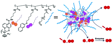 Graphical abstract: Tandem catalysis using an enzyme and a polymeric ruthenium-based artificial metalloenzyme