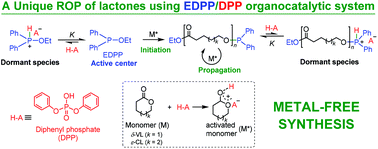 Graphical abstract: Diphenyl phosphate/ethyl diphenylphosphinite as an efficient organocatalytic system for ring-opening polymerization of ε-caprolactone and δ-valerolactone