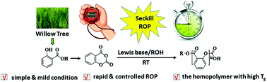 Graphical abstract: Rapid, controlled ring-opening polymerization of salicylic acid o-carboxyanhydride for poly(salicylate) synthesis
