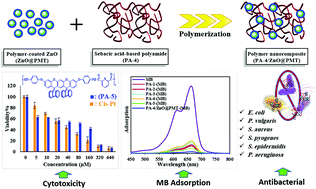 Graphical abstract: The preparation of novel poly(ether-amide)s based on spiro[fluorene-9,9′-xanthene] and a polyamide/polymer-coated ZnO nanocomposite: thermal, optical, biological, and methylene blue dye adsorption attributes