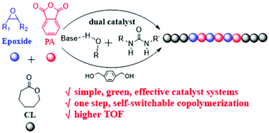 Graphical abstract: Construction of triblock copolyesters via one-step switchable terpolymerization of epoxides, phthalic anhydride and ε-caprolactone using dual urea/organic base catalysts