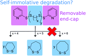 Graphical abstract: Synthesis and depolymerization of self-immolative poly(disulfide)s with saturated aliphatic backbones