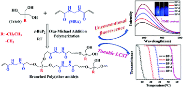 Graphical abstract: Synthesis of thermoresponsive nonconjugated fluorescent branched poly(ether amide)s via oxa-Michael addition polymerization