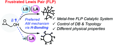 Graphical abstract: Highly tunable metal-free ring opening polymerization of glycidol into various controlled topologies catalyzed by frustrated lewis pairs