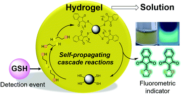 Graphical abstract: Chemically triggered soft material macroscopic degradation and fluorescence detection using self-propagating thiol-initiated cascades