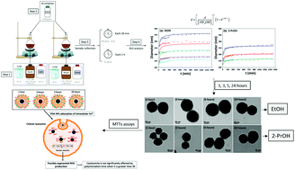 Graphical abstract: Insight into the influence of the polymerization time of polydopamine nanoparticles on their size, surface properties and nanomedical applications